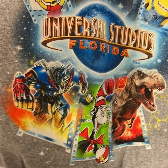 Universal Studios Kids Marvel Harry Potter Dr. Seuss Transformers Gray Hoodie S - Picture 13 of 15